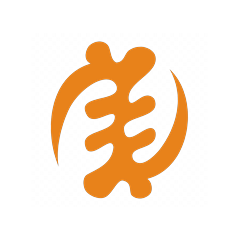 Aya — the Adinkra fern symbol of courage and endurance